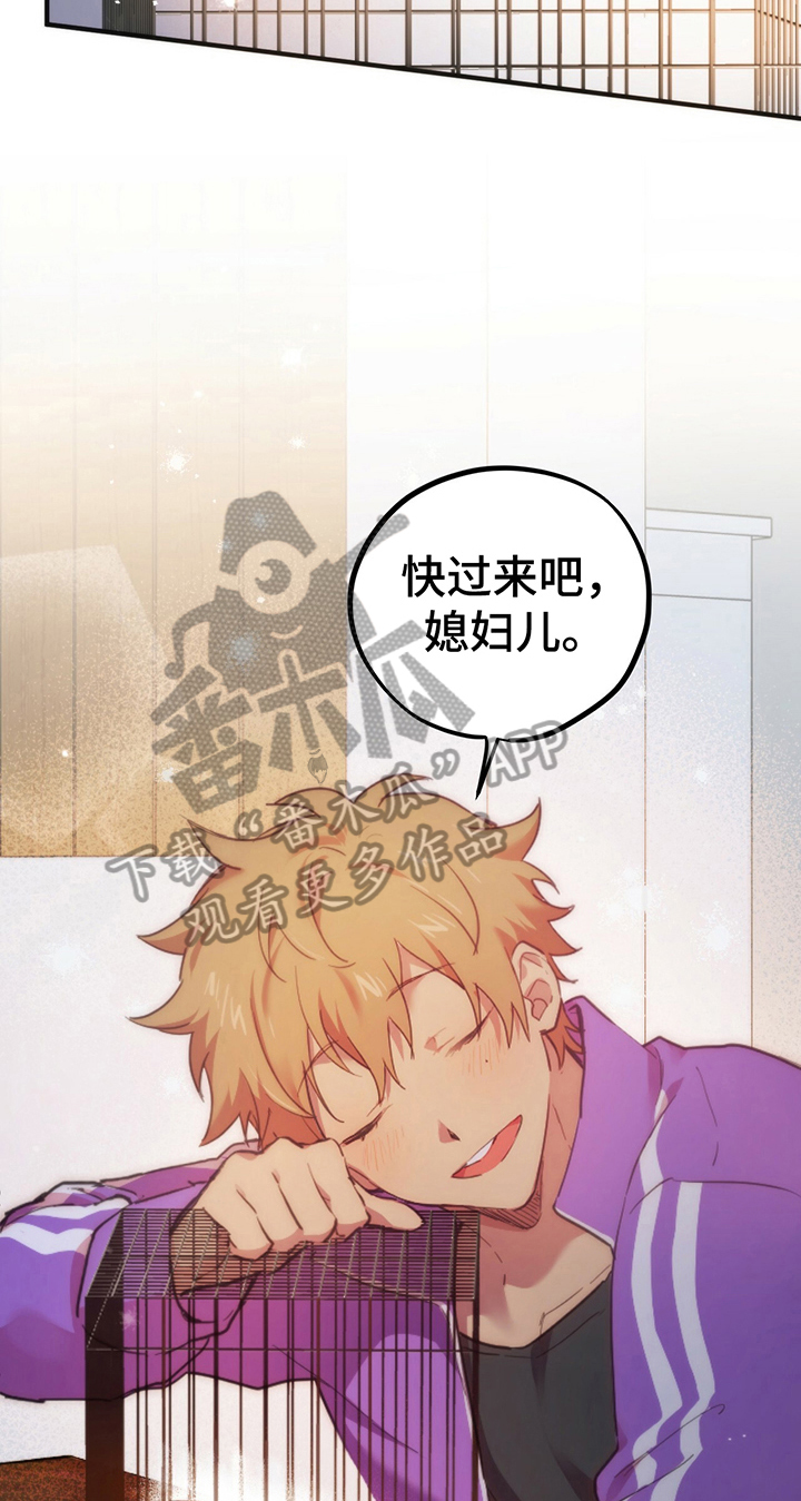 第7章：让你幸福12