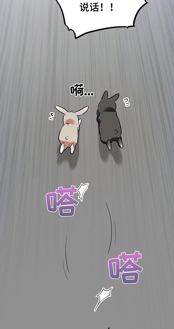 第10章：特征17