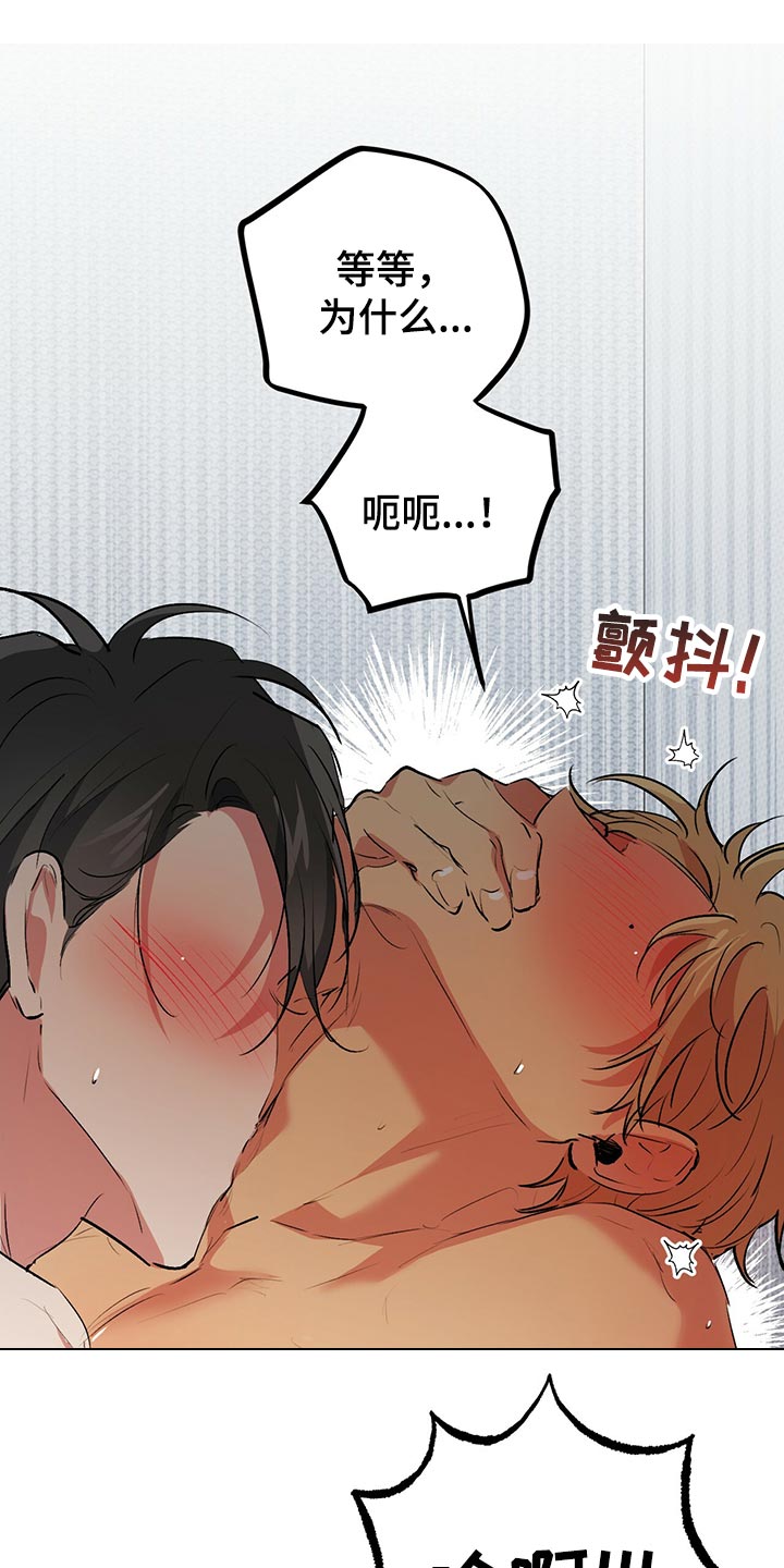 第111章：明确的标记19