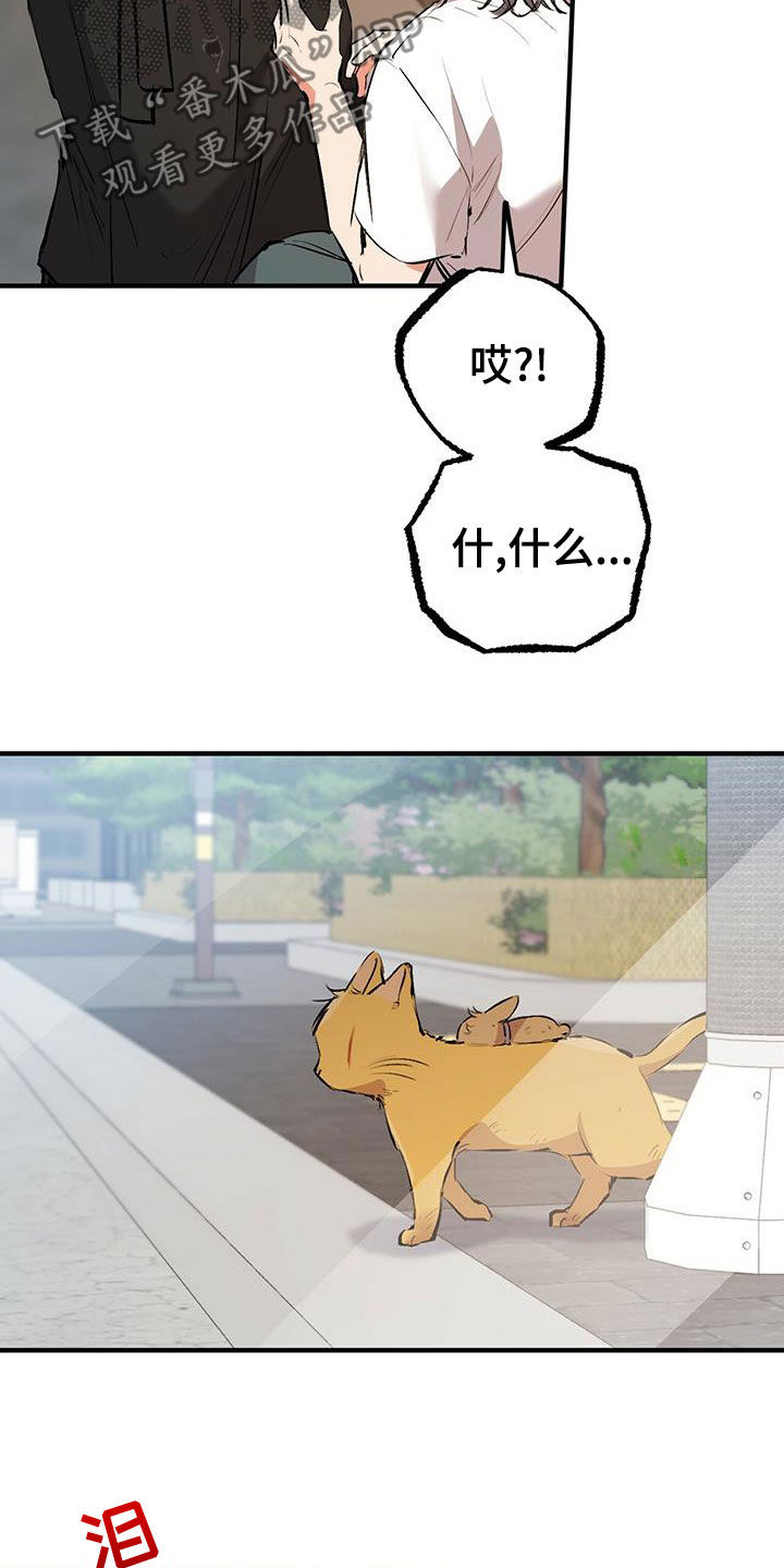 第124章：行踪28