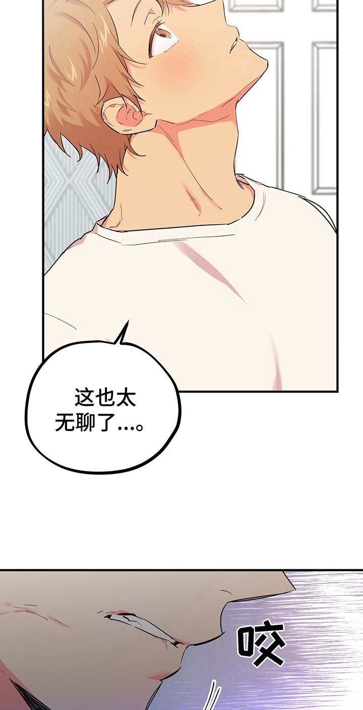 第15章：了解2
