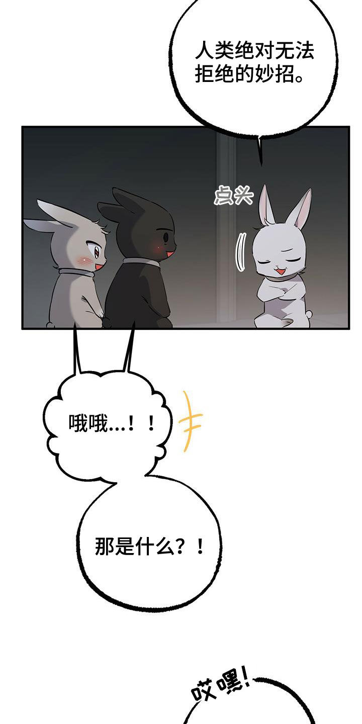 第118章：卖月兔1