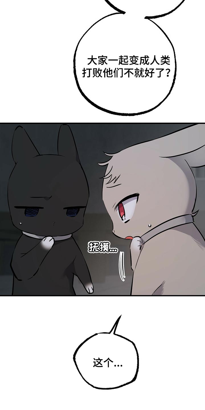 第116章：开始干活27