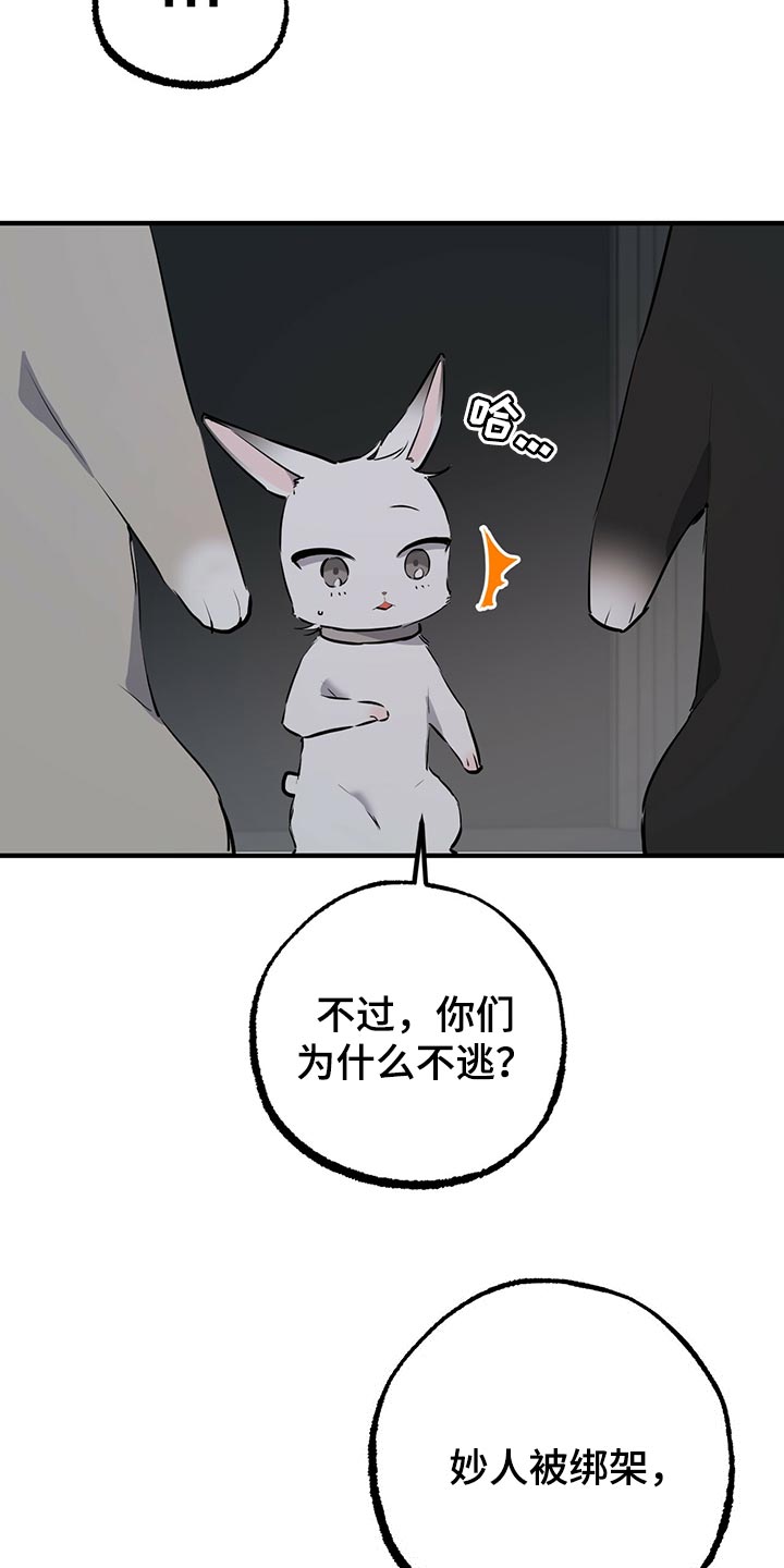 第116章：开始干活26