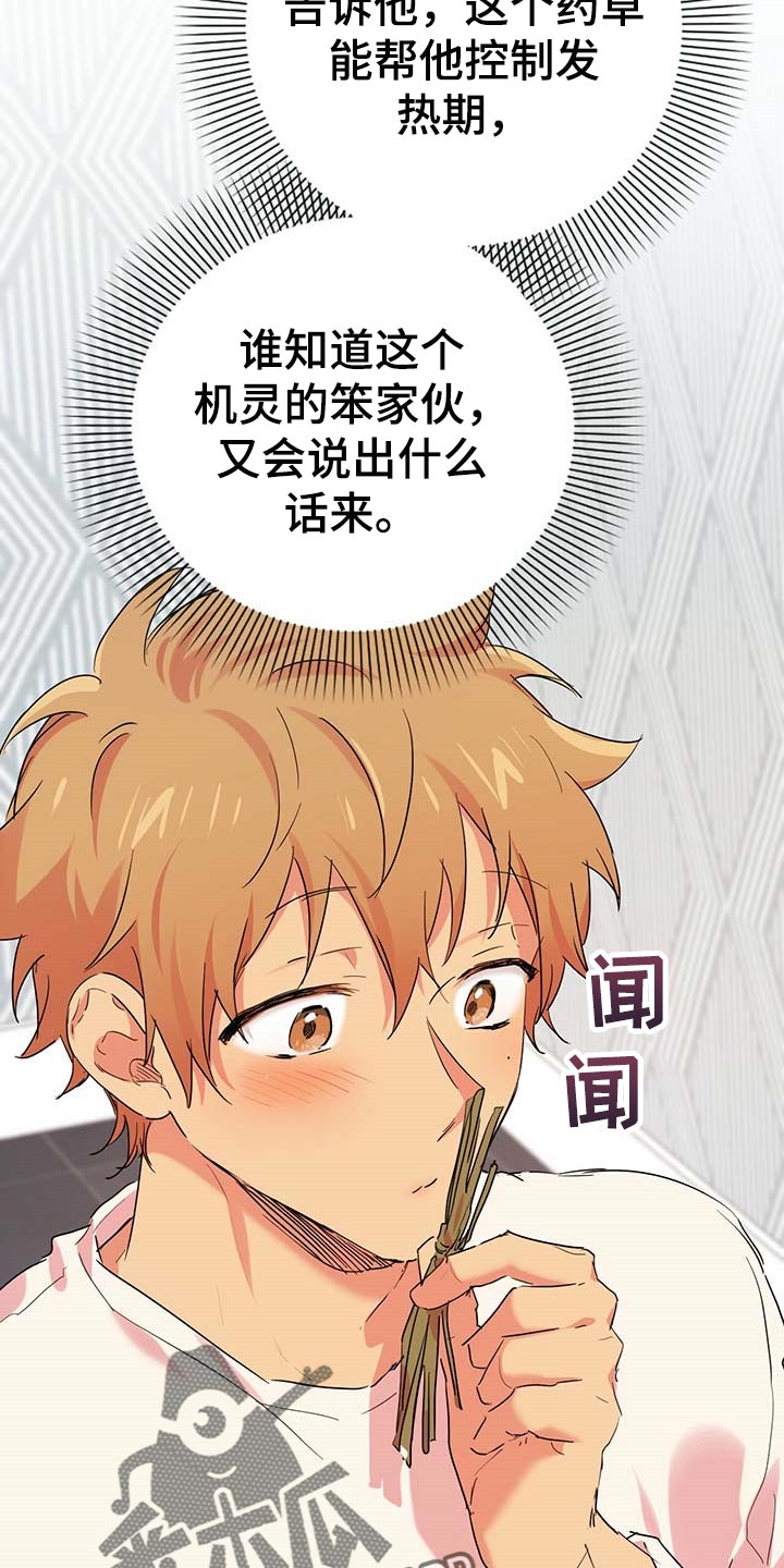 第34章：我也要喝16