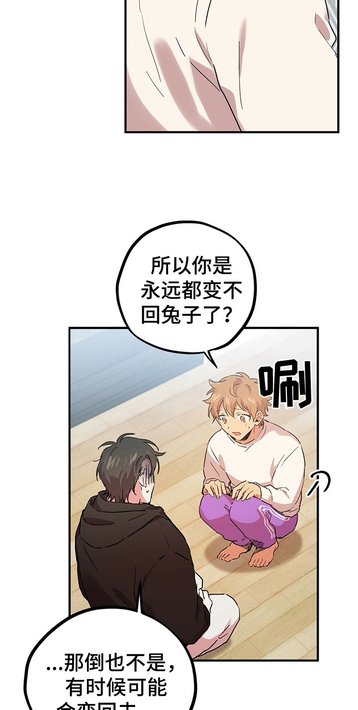 第19章：变身条件23