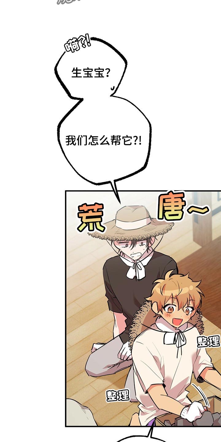 第87章：开始怀疑1