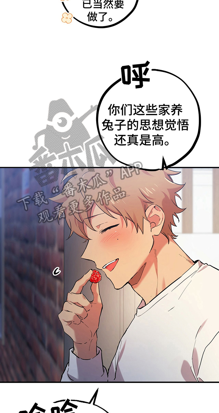 第21章：喜欢8