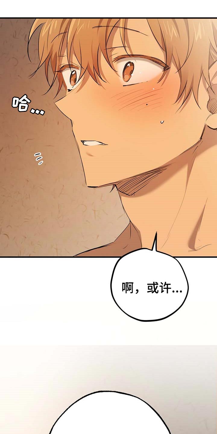 第77章：特别的兔子14