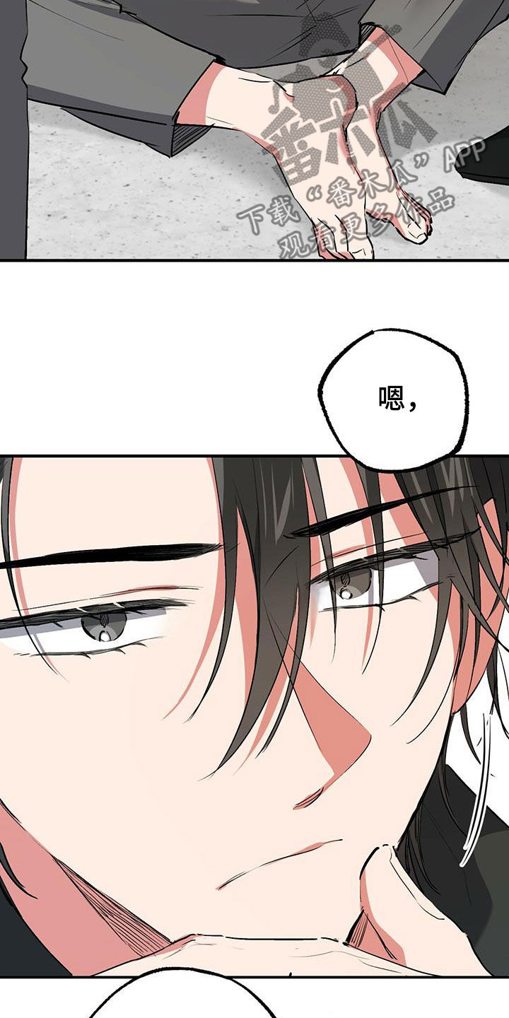 第118章：卖月兔19
