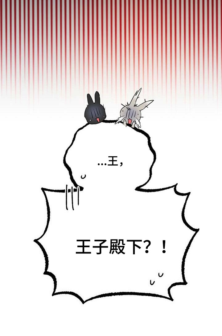 第66章：救命恩人15