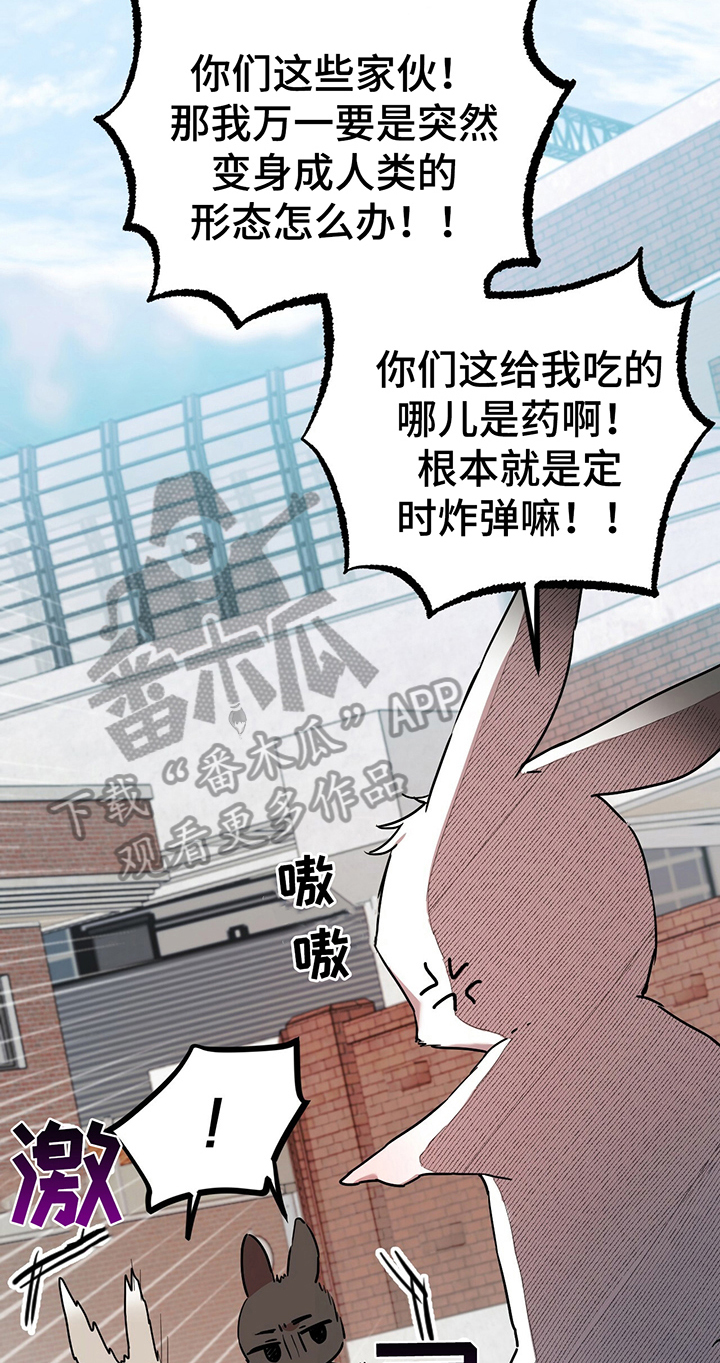 第10章：特征15