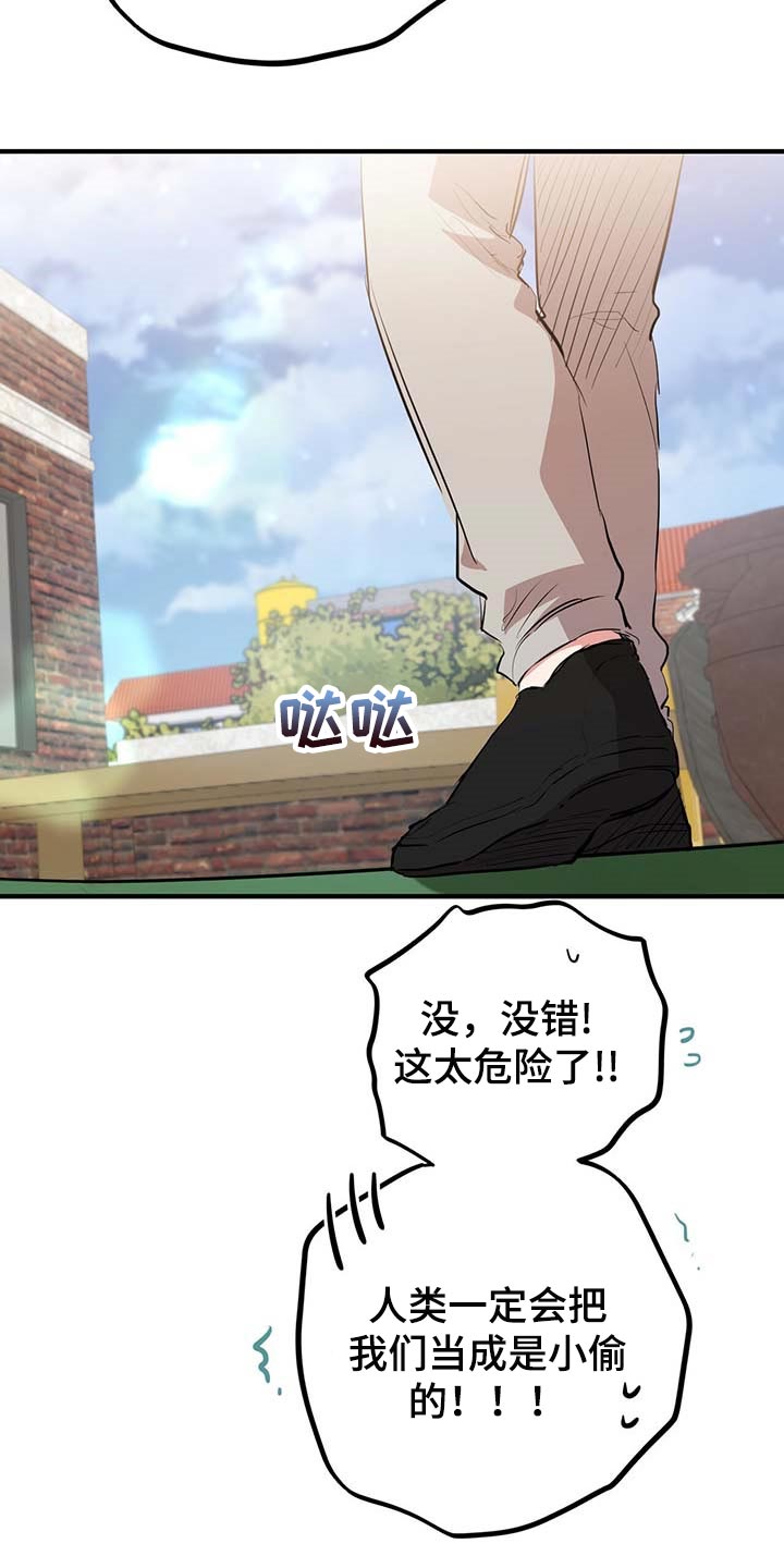 第55章：跟我一起走吧7