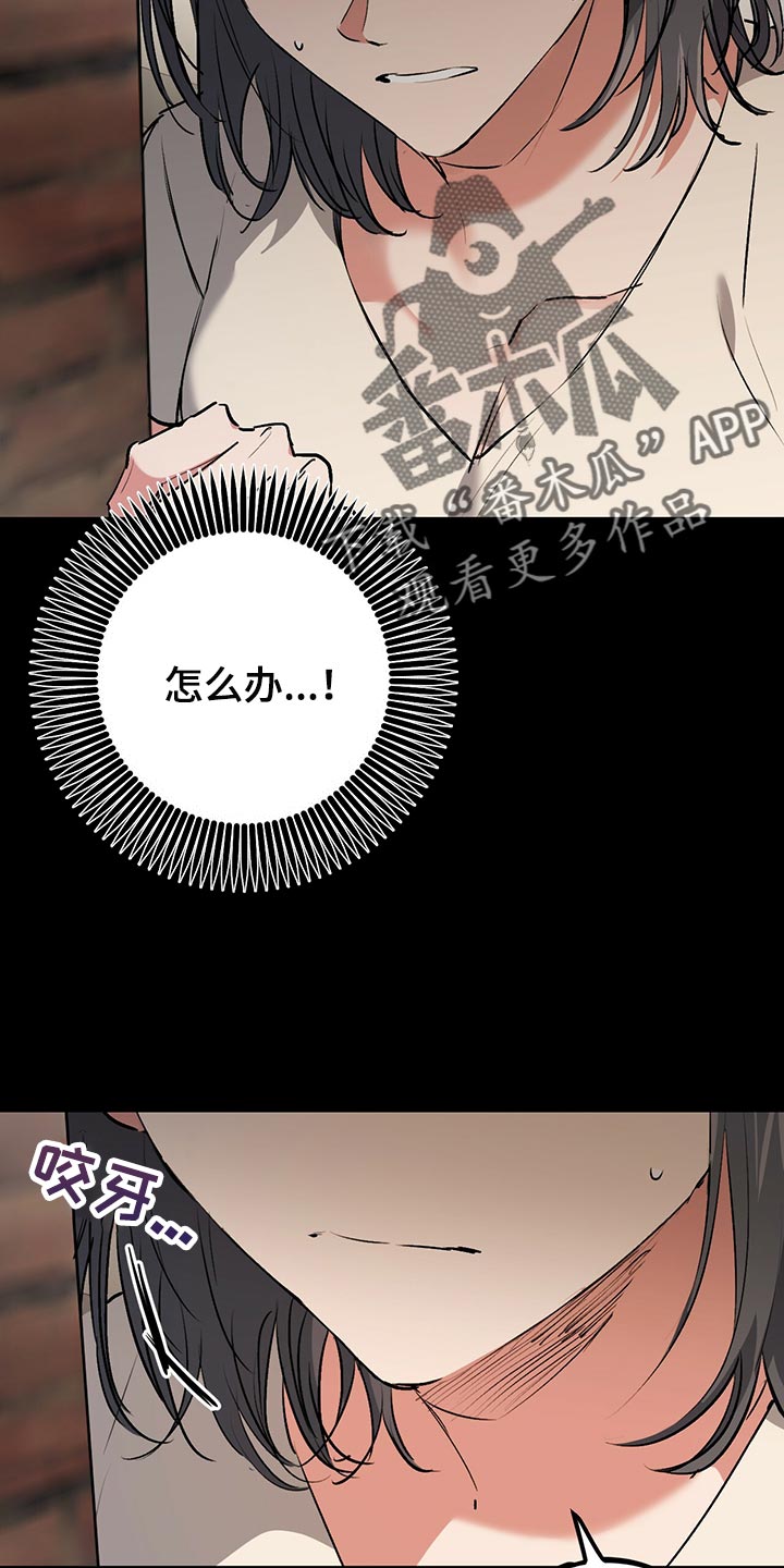第114章：这里很安全26