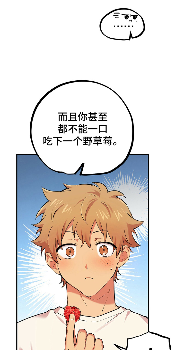 第22章：迷人6