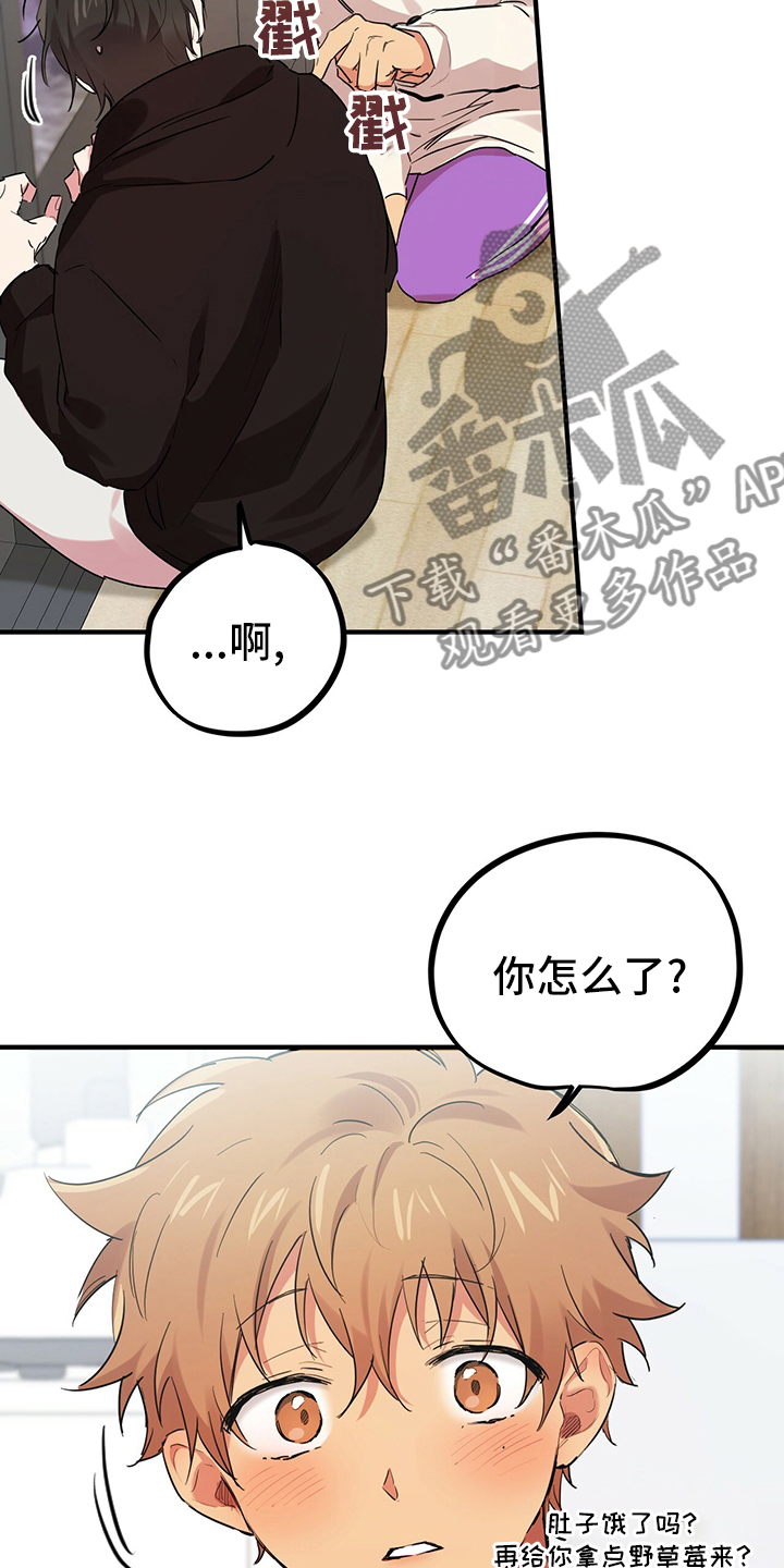 第27章：报答6