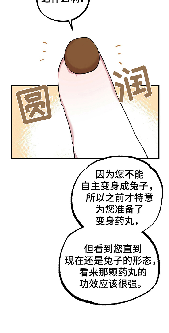 第10章：特征11