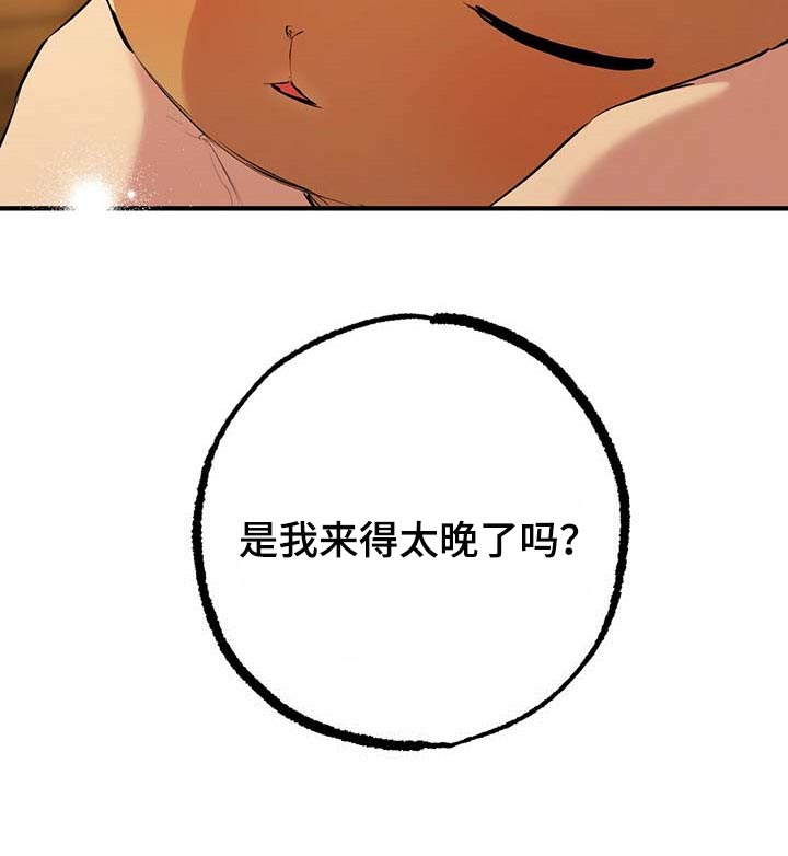 第68章：来得太晚了27