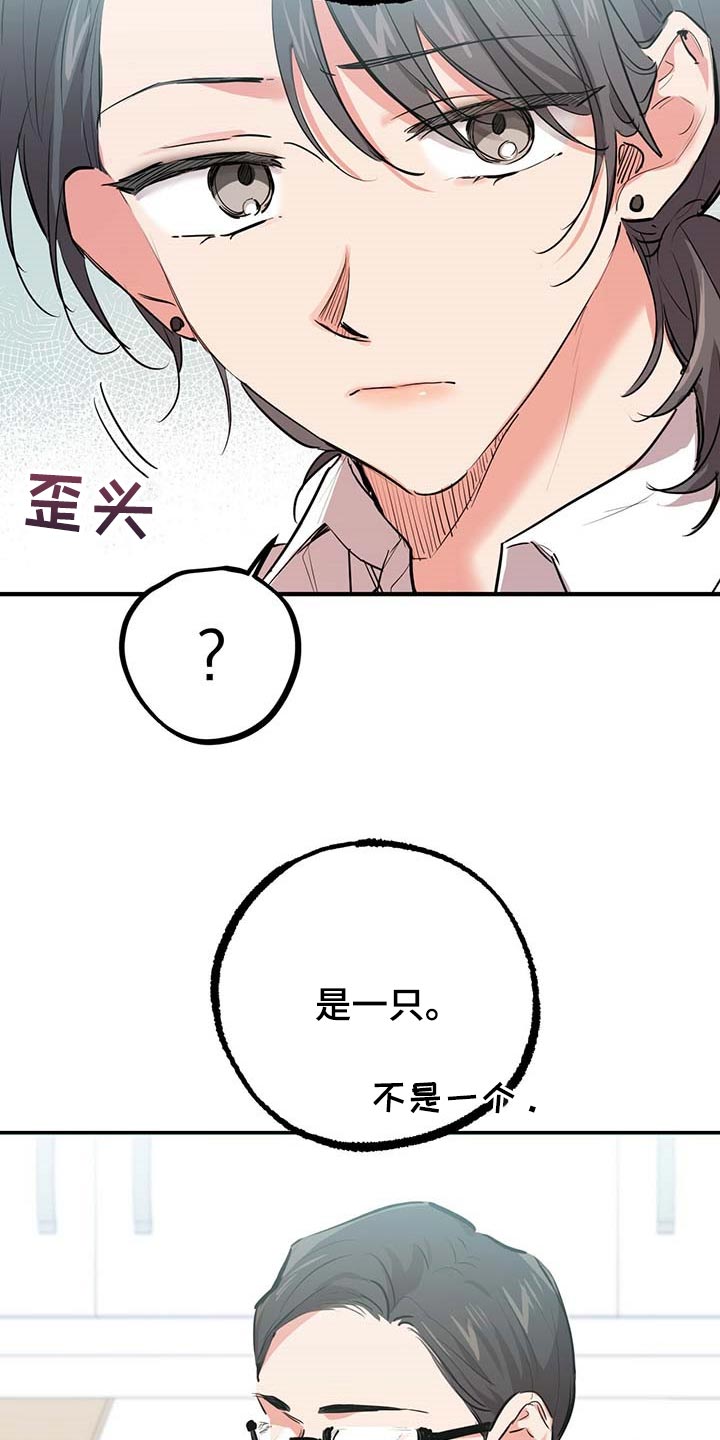 第81章：快乐天堂6
