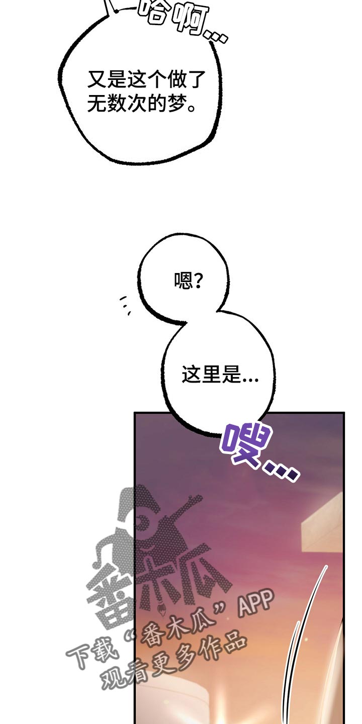 第99章：身世的秘密29
