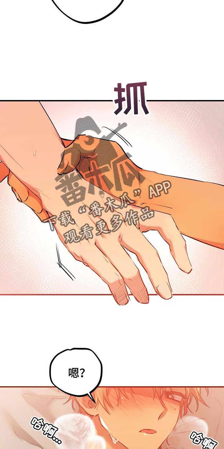 第73章：真正的媳妇4