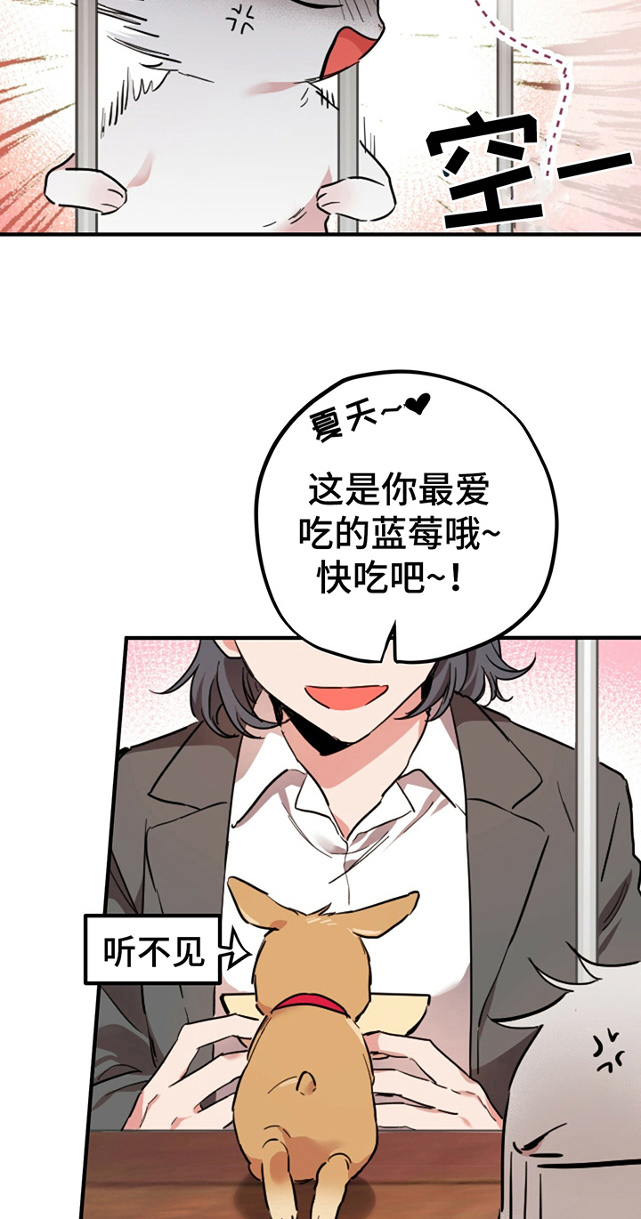 第6章：鄙视9