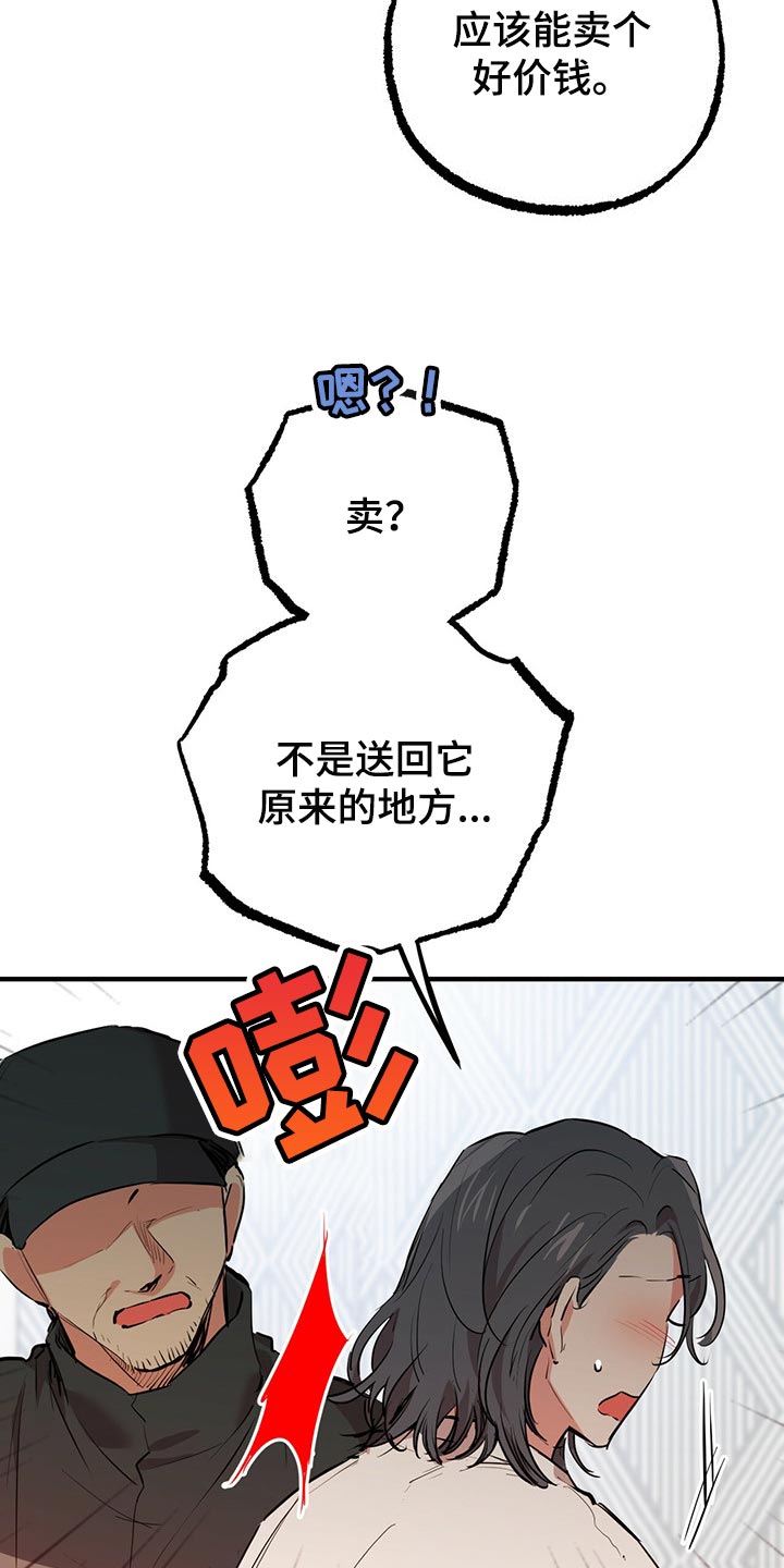 第97章：卖个好价钱32