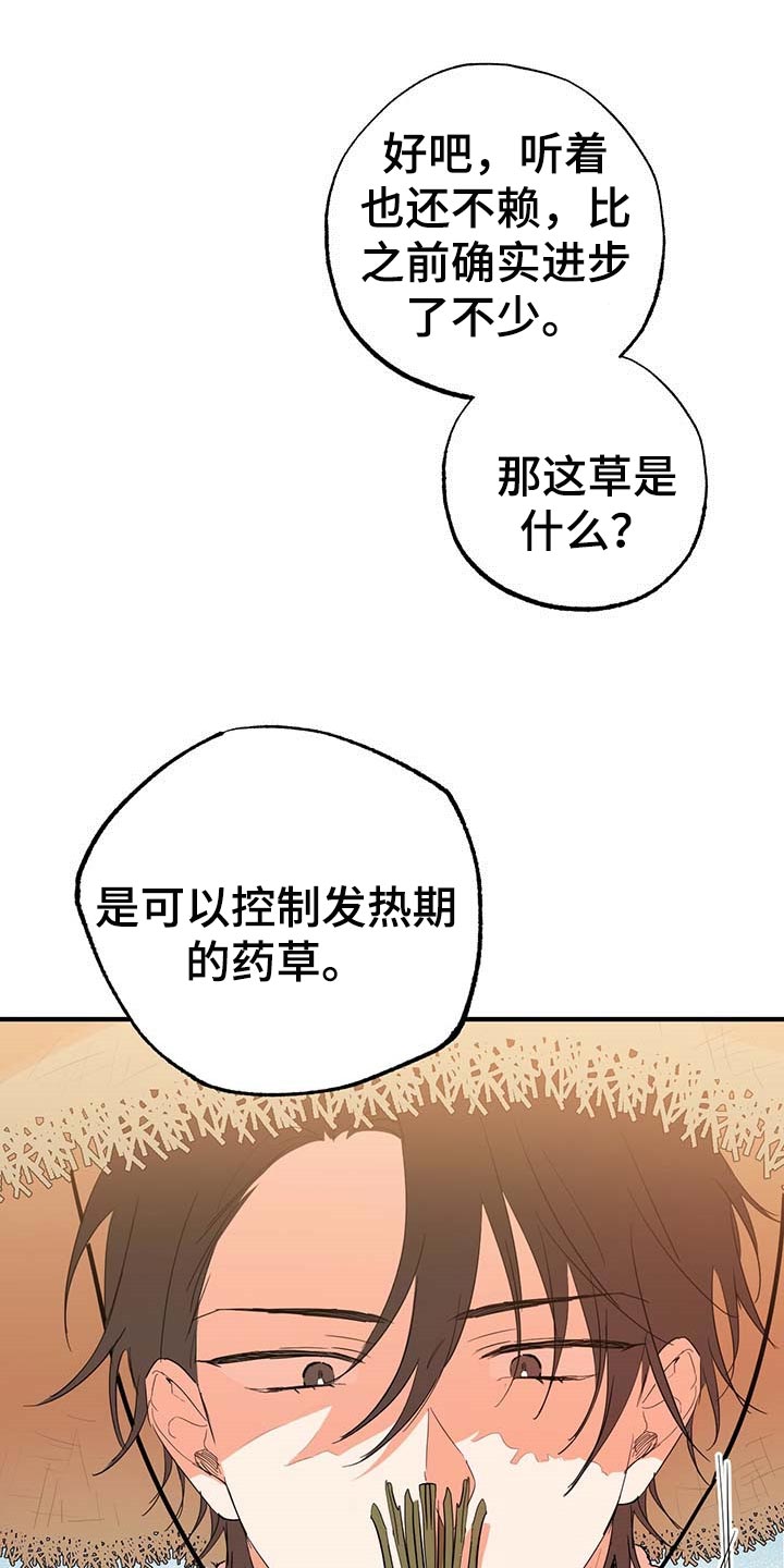 第30章：固执15