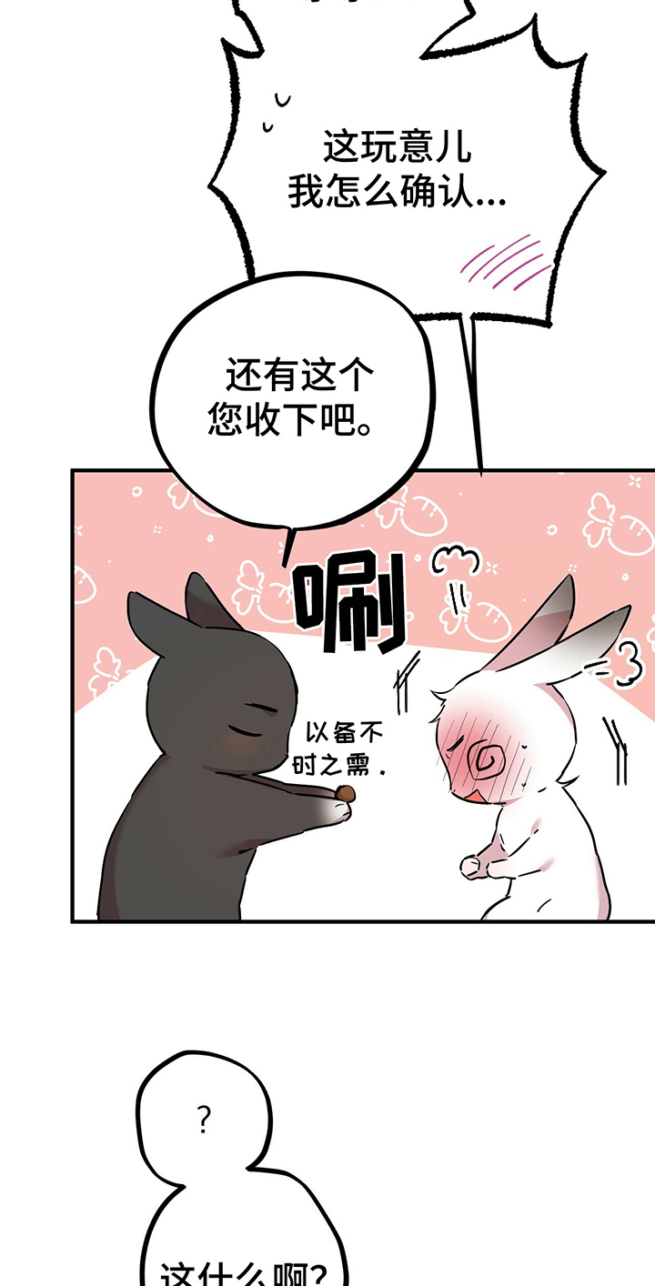 第10章：特征10