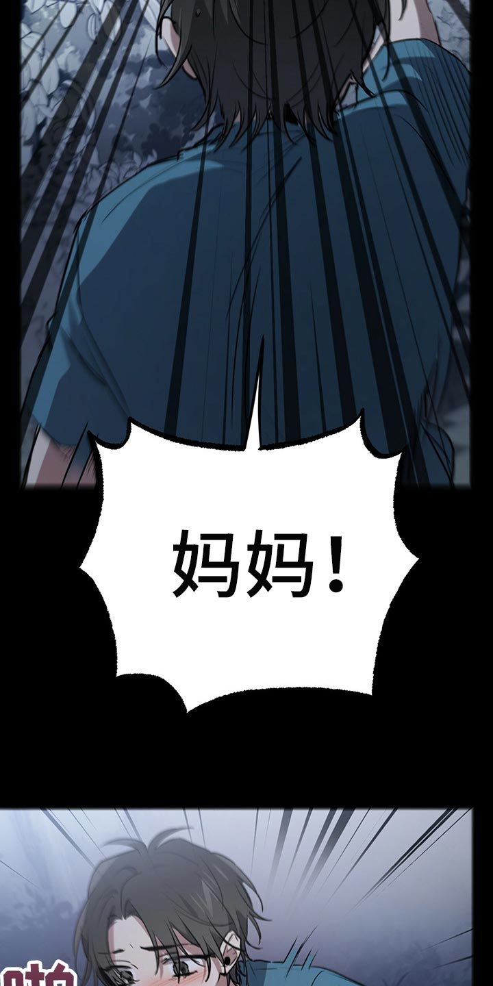 第99章：身世的秘密22