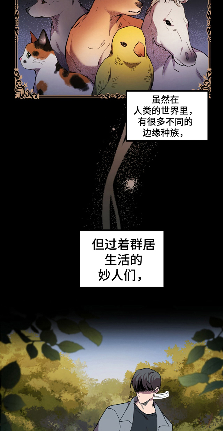 第2章：惊愕13
