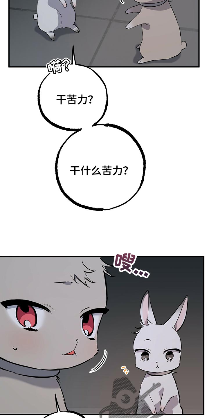 第116章：开始干活14