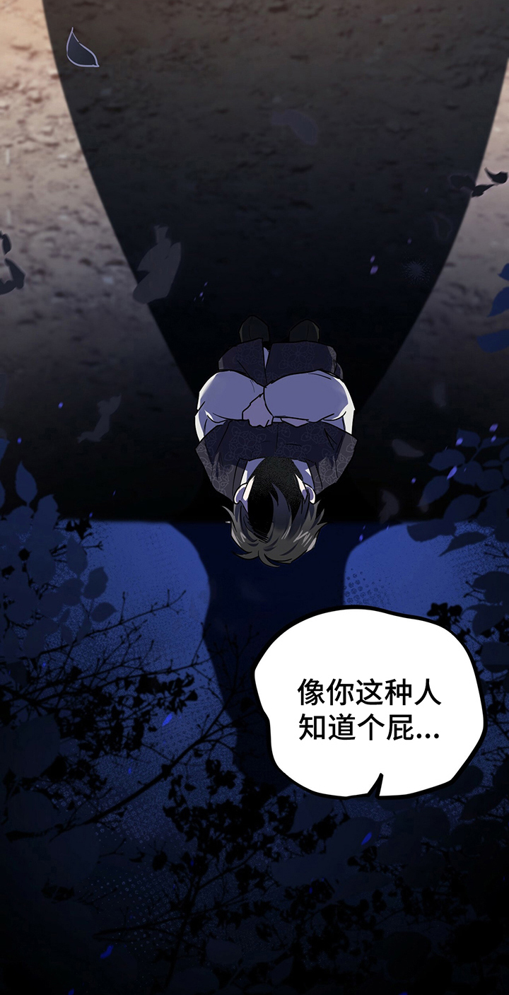 第15章：了解12