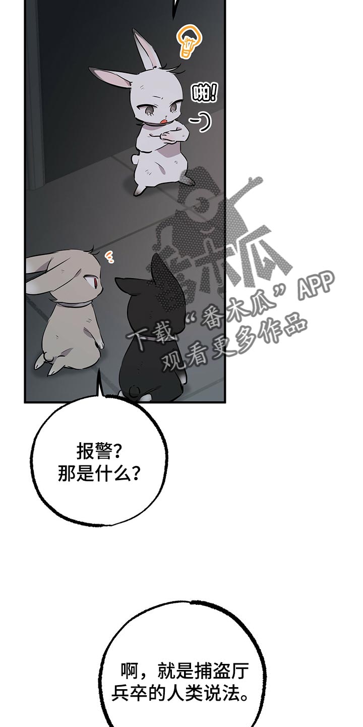 第117章：我有个好主意31
