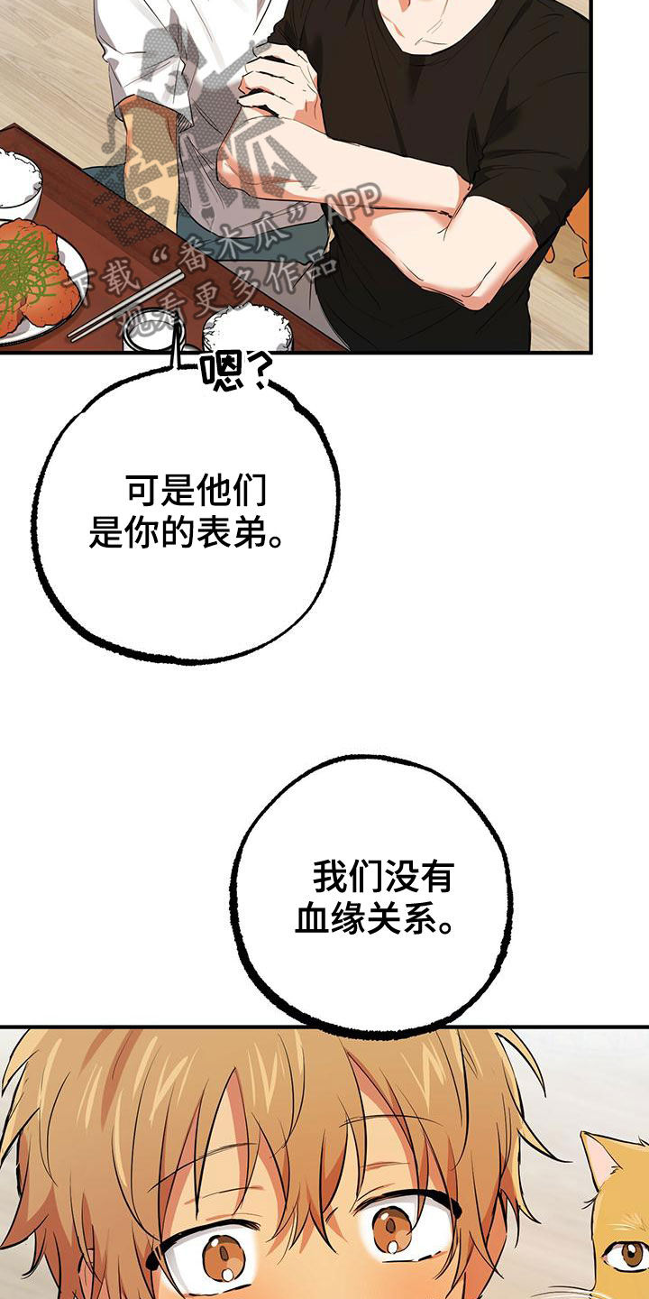 第127章：安排5