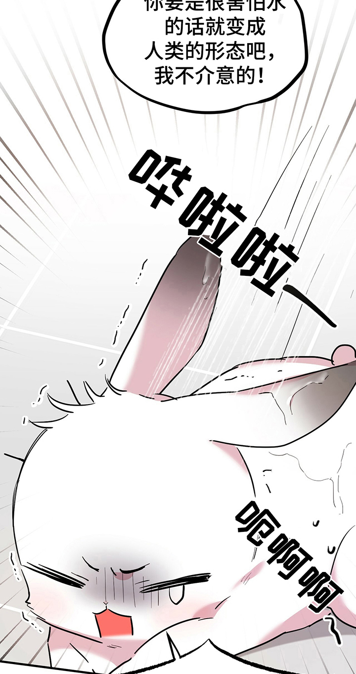 第11章：变人3