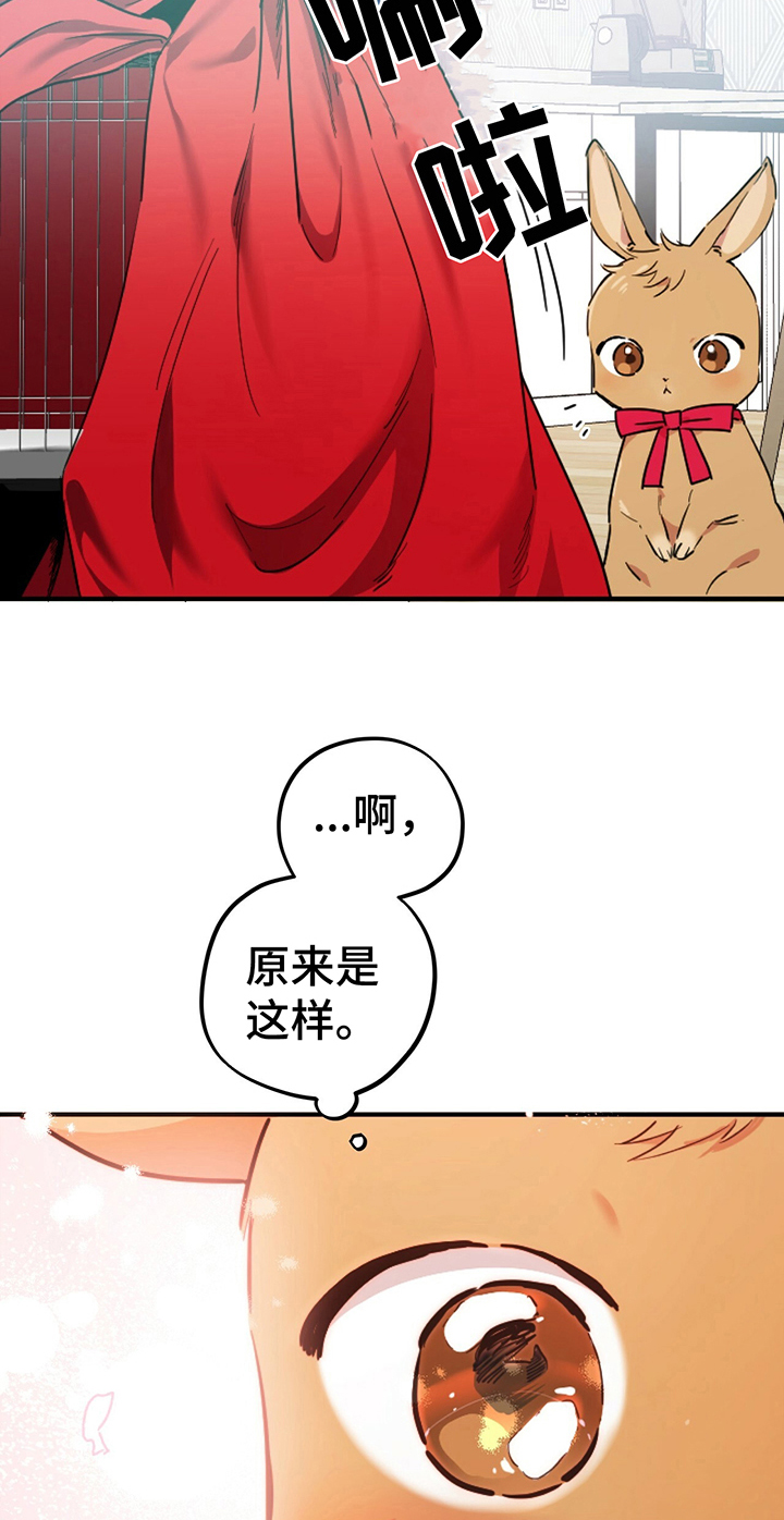第5章：媳妇儿1