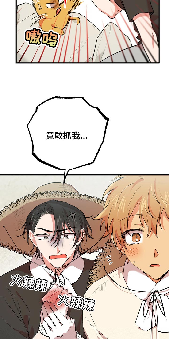 第86章：帮它生宝宝15