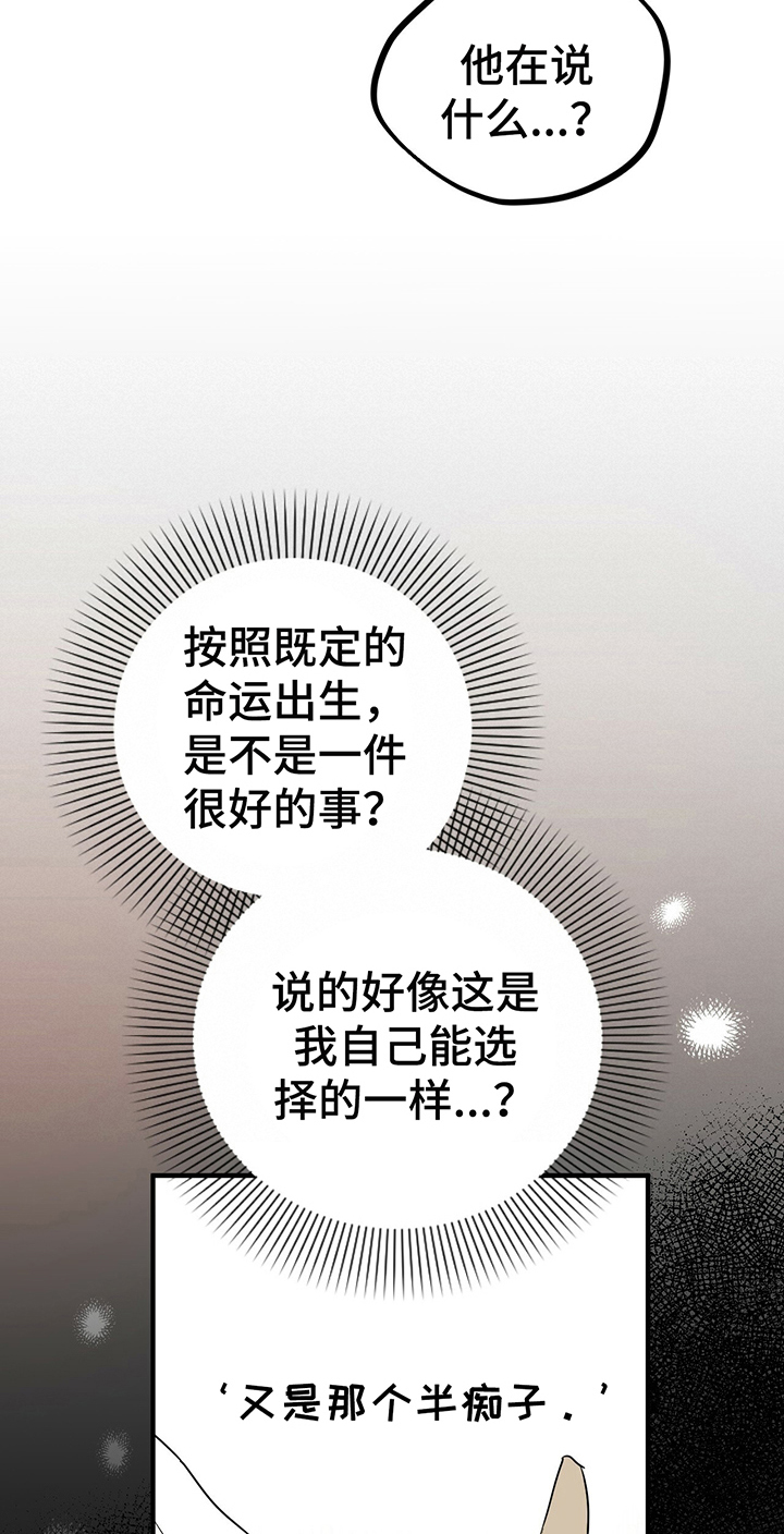第15章：了解6