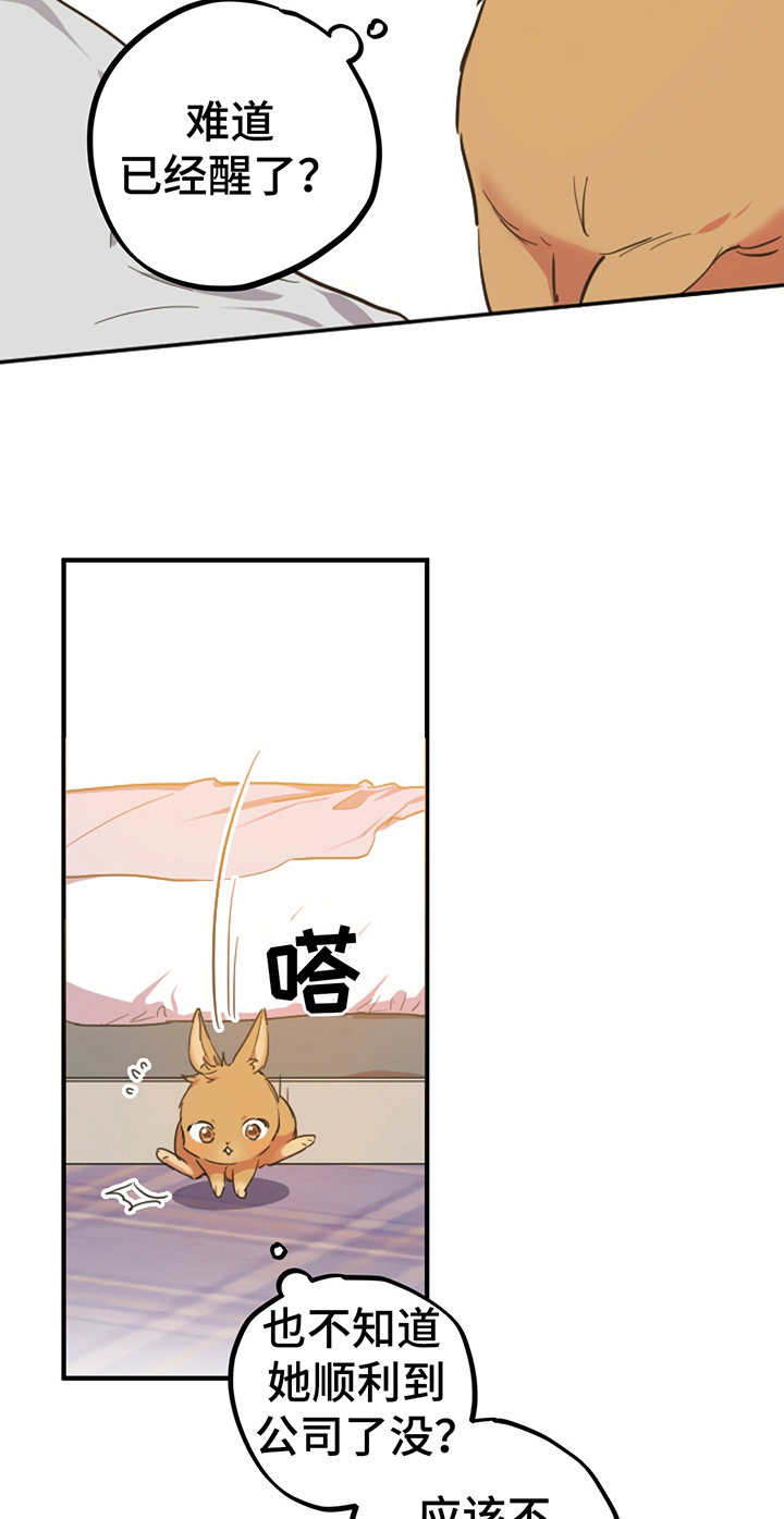 第1章：兔子14