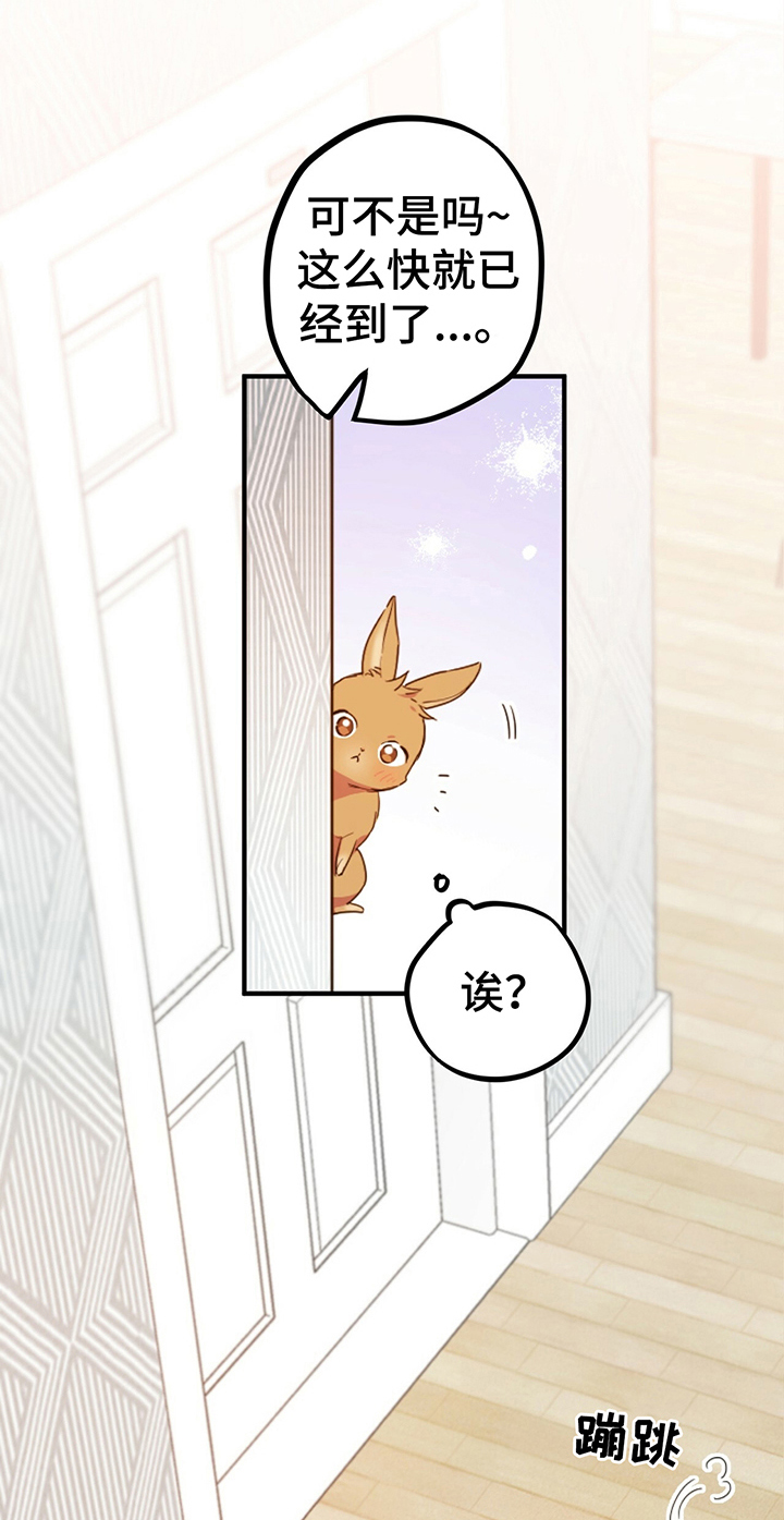 第1章：兔子16
