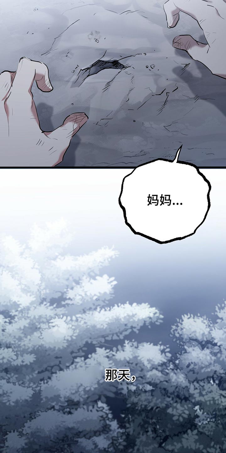 第99章：身世的秘密24