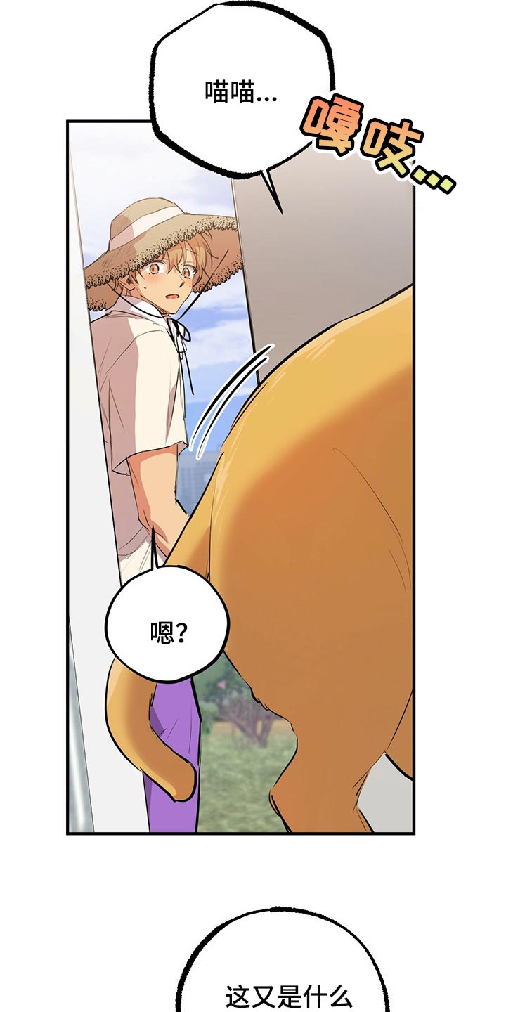 第86章：帮它生宝宝9
