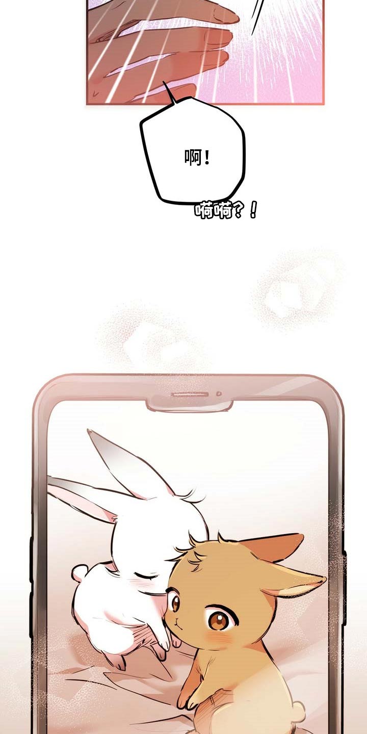 第81章：快乐天堂2