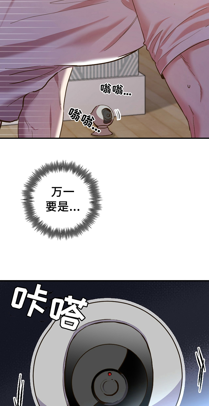 第1章：兔子5