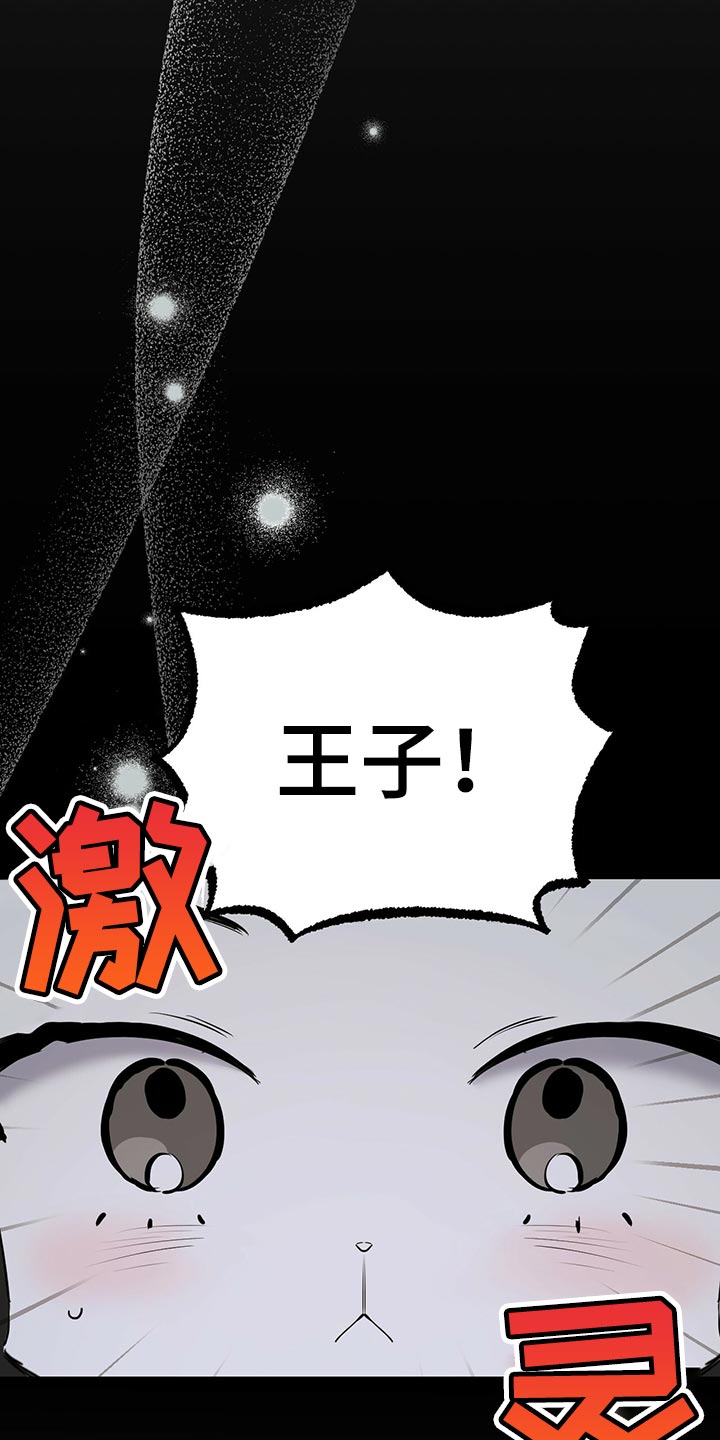 第116章：开始干活1