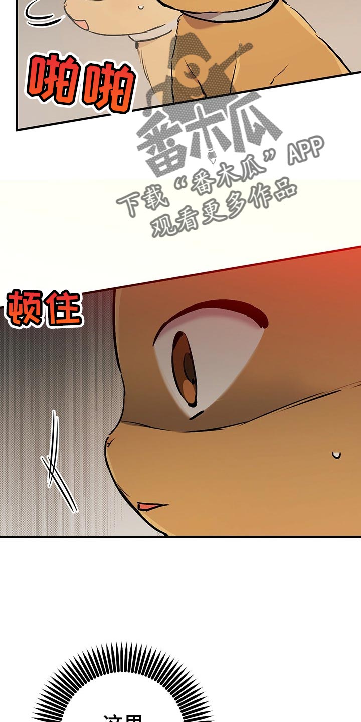 第114章：这里很安全2