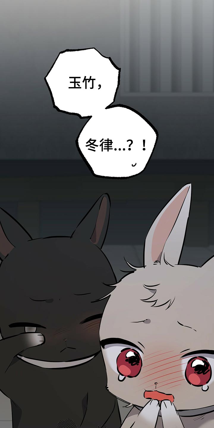 第116章：开始干活5