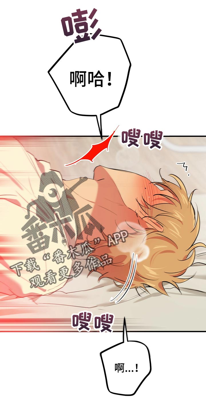 第102章：我们的婚房16