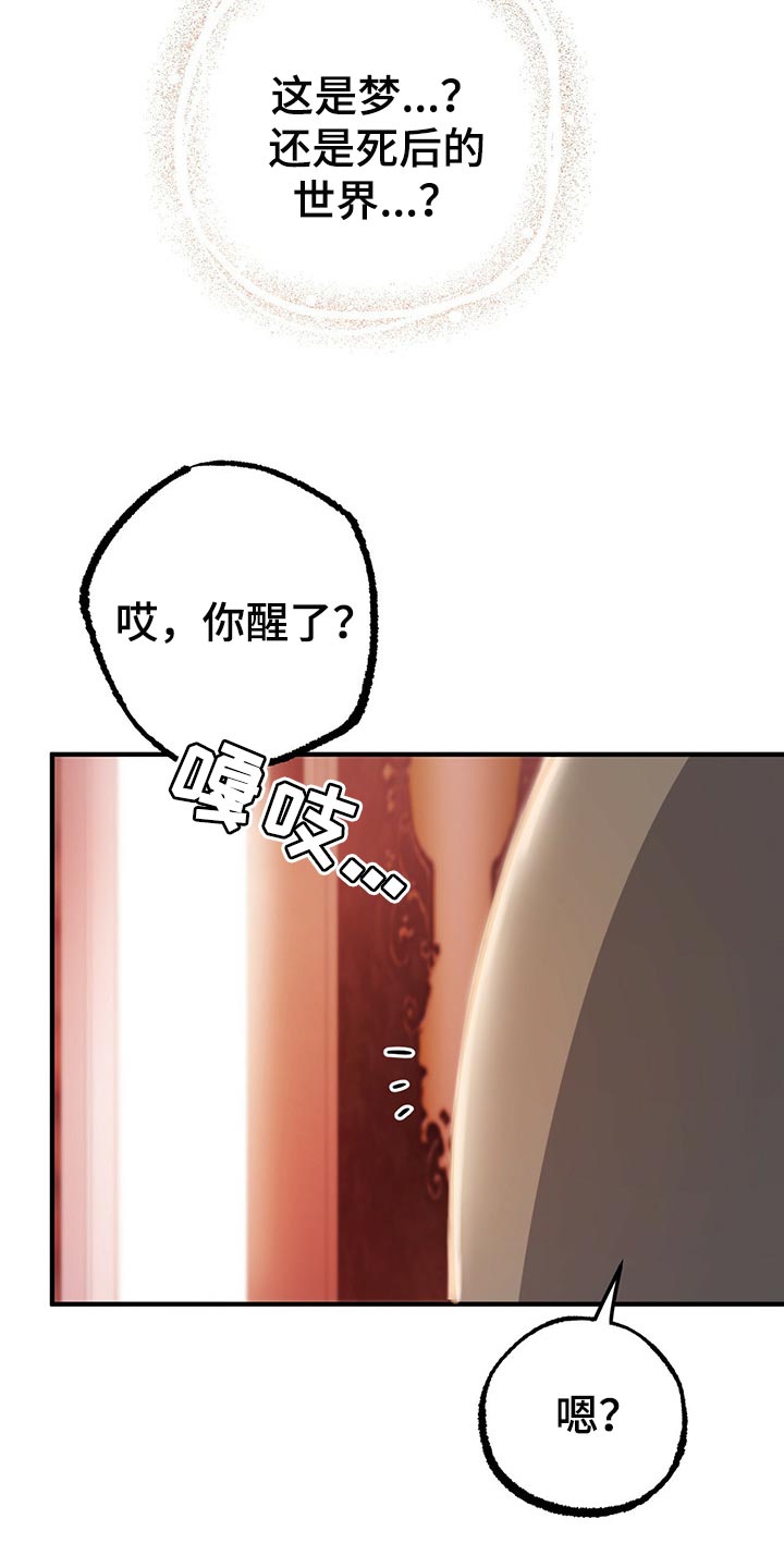 第99章：身世的秘密32